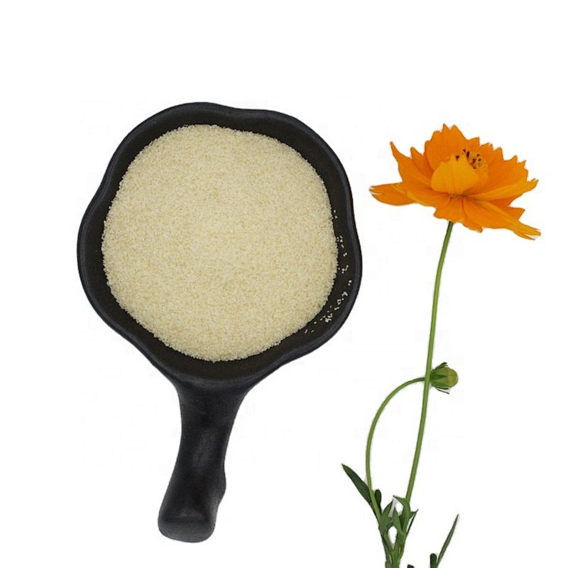 2024 Bovine Hide Gelatin Cow Bone Gelatin Food Gelatin